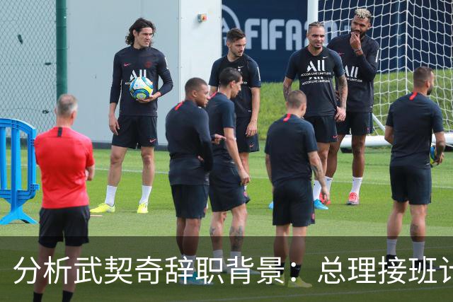 分析武契奇辞职背景：总理接班计划与未来方向的把控